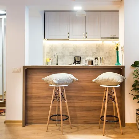 Artsy Studio-cismigiu Park Apartment