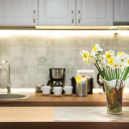 Appartement Artsy Studio-cismigiu Park *