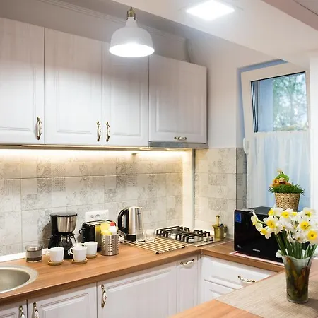 Artsy Studio-cismigiu Park Appartement Bucarest