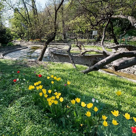 Artsy Studio-cismigiu Park
